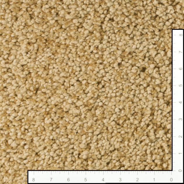 Custom Shangri La Sondra, 100% Stainmaster Luxerell BCF Nylon Area Rug