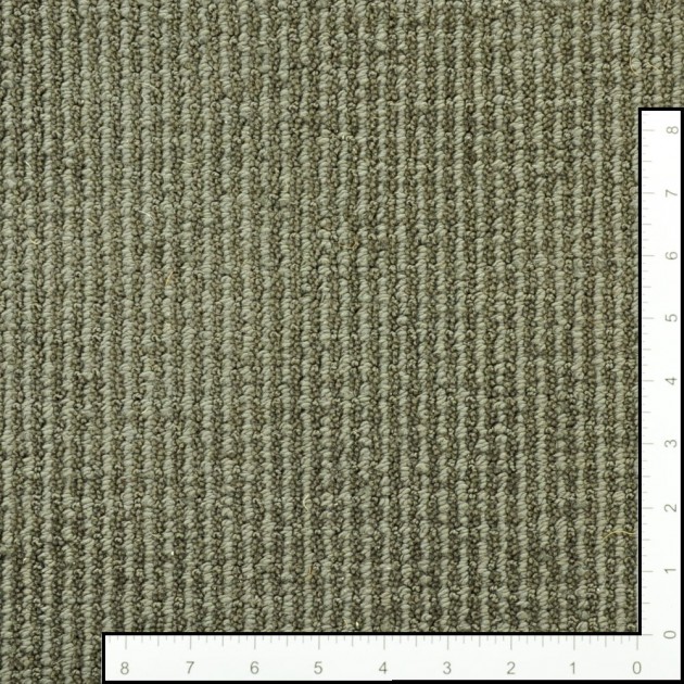 Custom Something New Library Pewter, 100% Anso BCF Nylon Area Rug