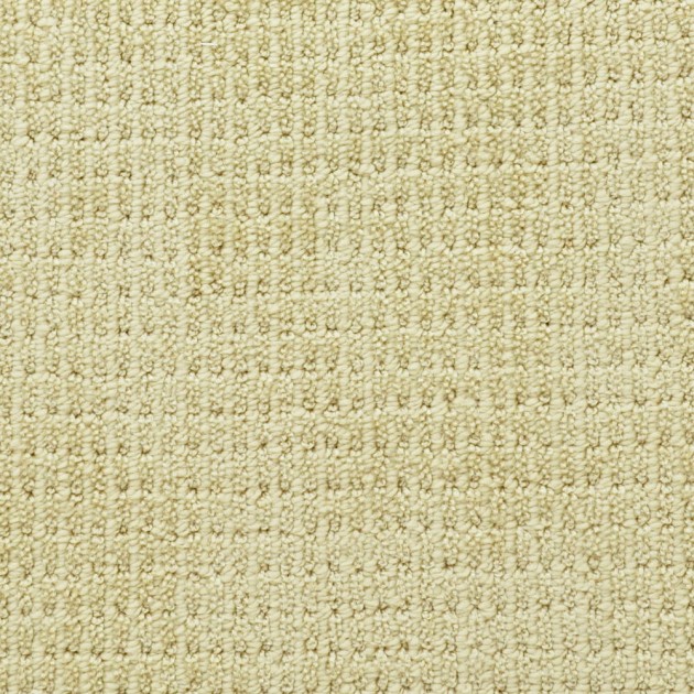 Custom Something New Satin Ivory, 100% Anso BCF Nylon Area Rug
