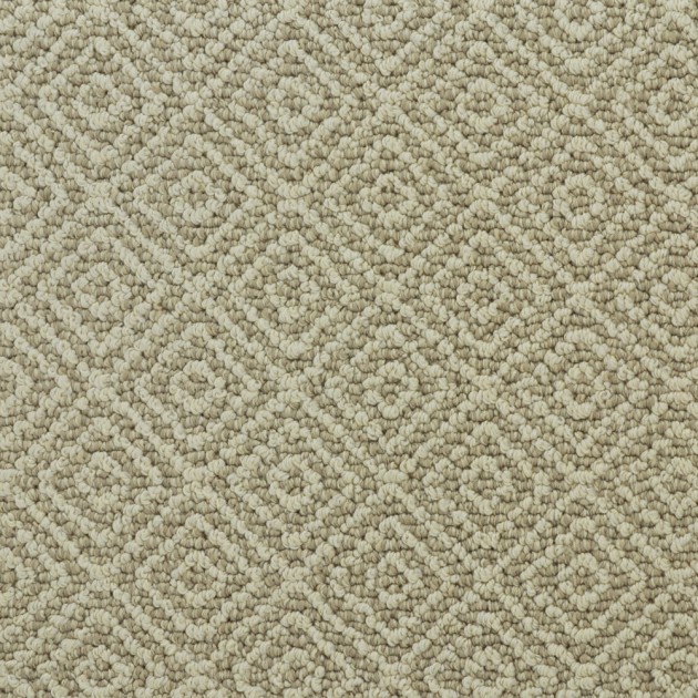 Custom Stroll Almond, 100% Nylon 6,6 Fiber; STAINMASTER PetProtect Area Rug