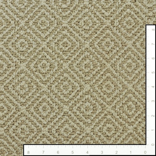 Custom Stroll Mohair, 100% Nylon 6,6 Fiber; STAINMASTER PetProtect Area Rug