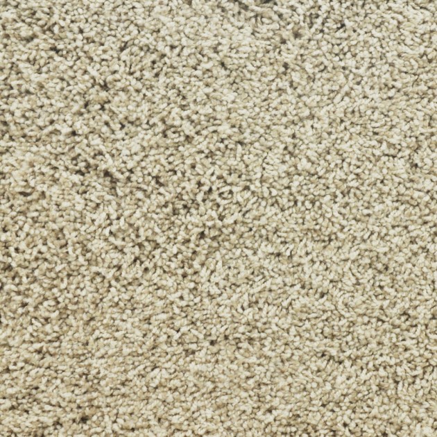 Custom Travertino Too Natural, 100% Anso Nylon Area Rug