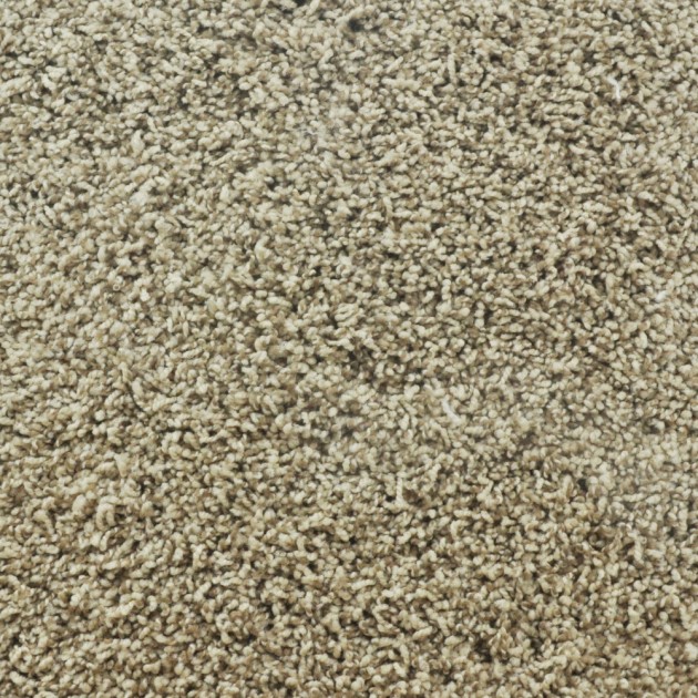 Custom Travertino Too Wet Sand, 100% Anso Nylon Area Rug