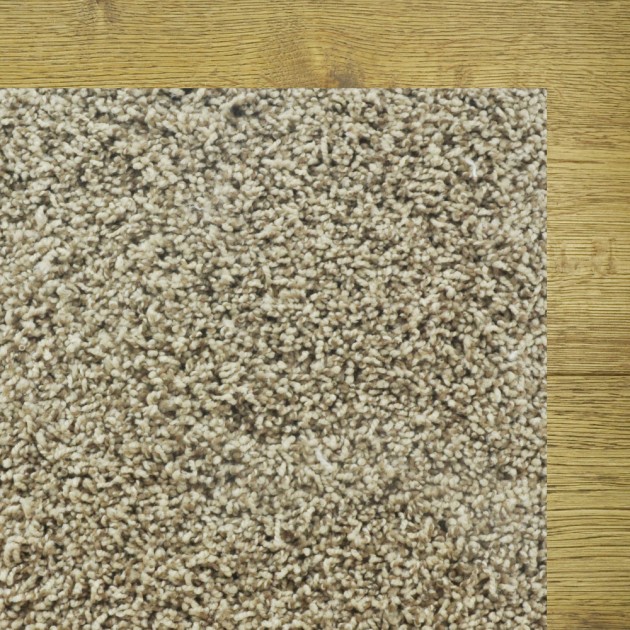 Custom Travertino Too Wet Sand, 100% Anso Nylon Area Rug