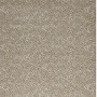 Custom Kalahari, 133499A, Sand (5'3x7'9 / Rectangle), 100% Polypropylene Area Rug