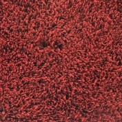Custom Celeb Jazzy Red, 100% Stainmaster Nylon Area Rug
