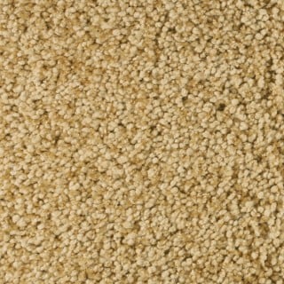 Custom Shangri La Sondra, 100% Stainmaster Luxerell BCF Nylon Area Rug