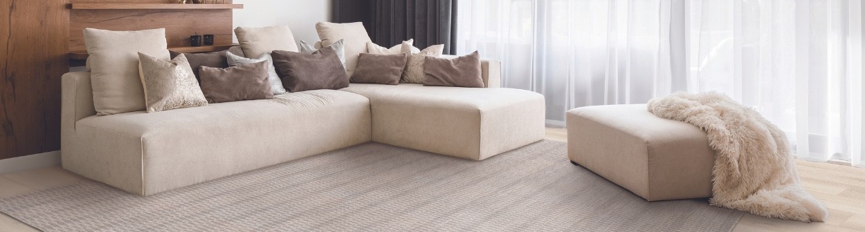Family Room Area Rugs
