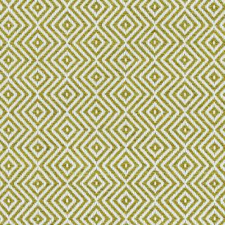 Custom Echo Lime, 100% UV Treated Polyester Area Rug