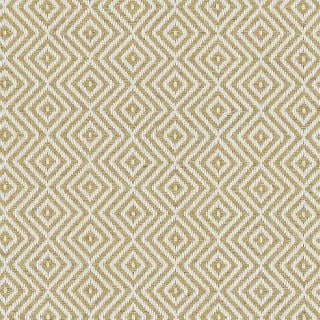 Custom Echo Sable, 100% UV Treated Polyester Area Rug
