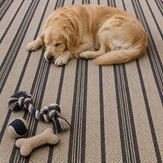 Custom Meridian Chrome, 100% Sisal Area Rug