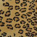 Silhouette Leopard