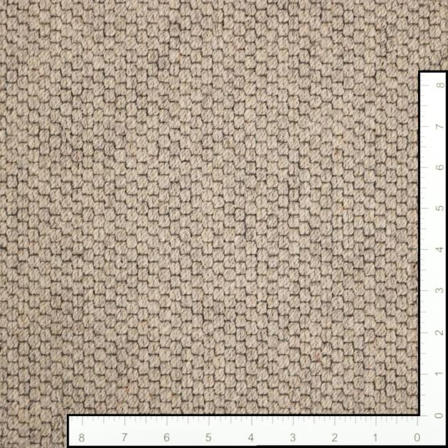 Barrow Champagne Powder Custom Area Rug