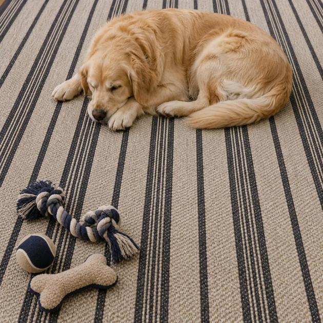  Custom Area Rug
