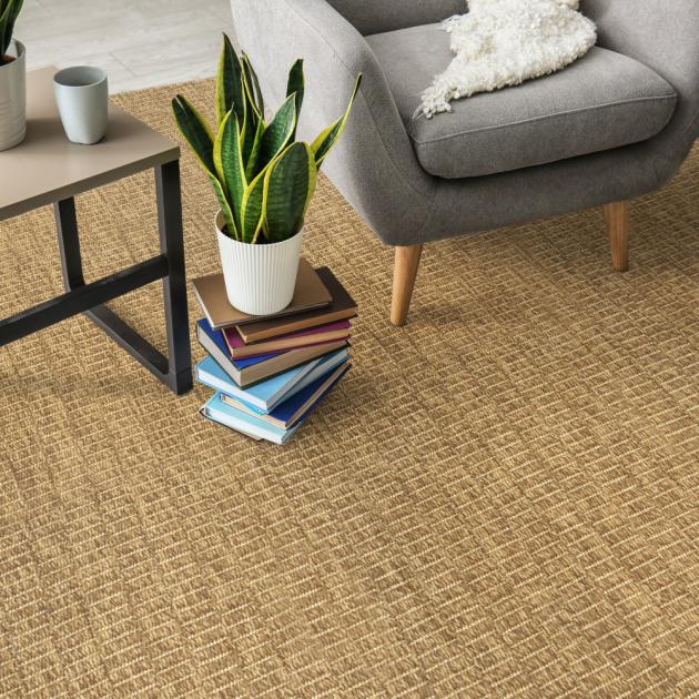 Seabreeze Shell Custom Area Rug
