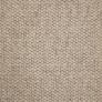 Barrow Champagne Powder Custom Area Rug