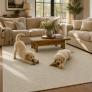 Cypher Charcoal Custom Area Rug