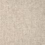 Paradox Fossil Custom Area Rug