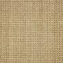 Firefly Pale Ash Custom Area Rug