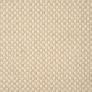 Valencia Sandbar Custom Area Rug