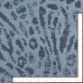 Cat Eyes Blue Custom Area Rug