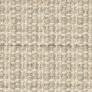 Wired Conch Custom Area Rug